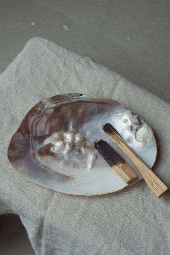 Muszla naturalna z perłami